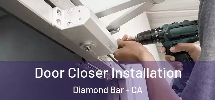 Door Closer Installation Diamond Bar - CA