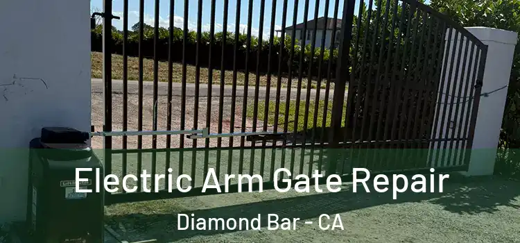 Electric Arm Gate Repair Diamond Bar - CA