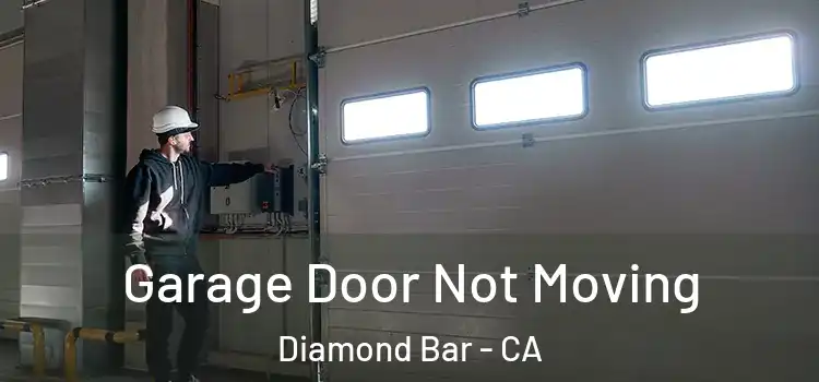 Garage Door Not Moving Diamond Bar - CA